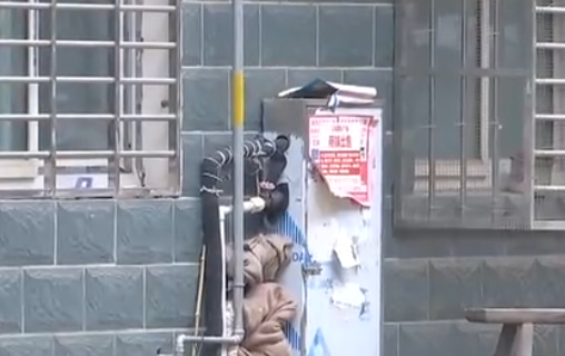 自來水管道保溫電伴熱帶，冬季管道防凍新寵(圖2)